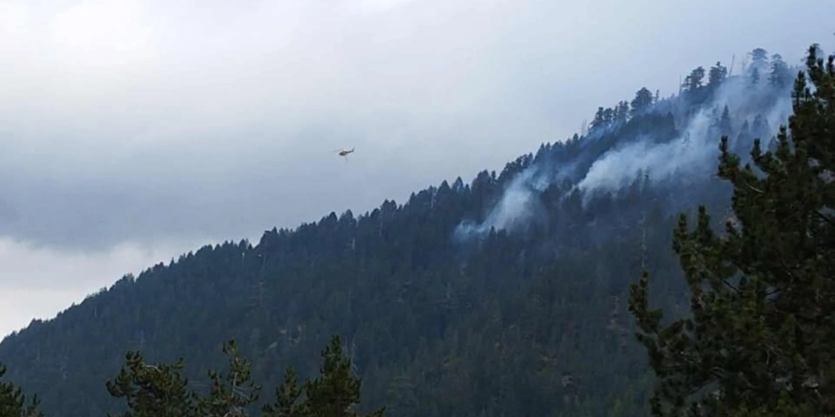 Βάλια Κάλντα: Καλύτερη η εικόνα της φωτιάς – Καίει εκτός του εθνικού δρυμού