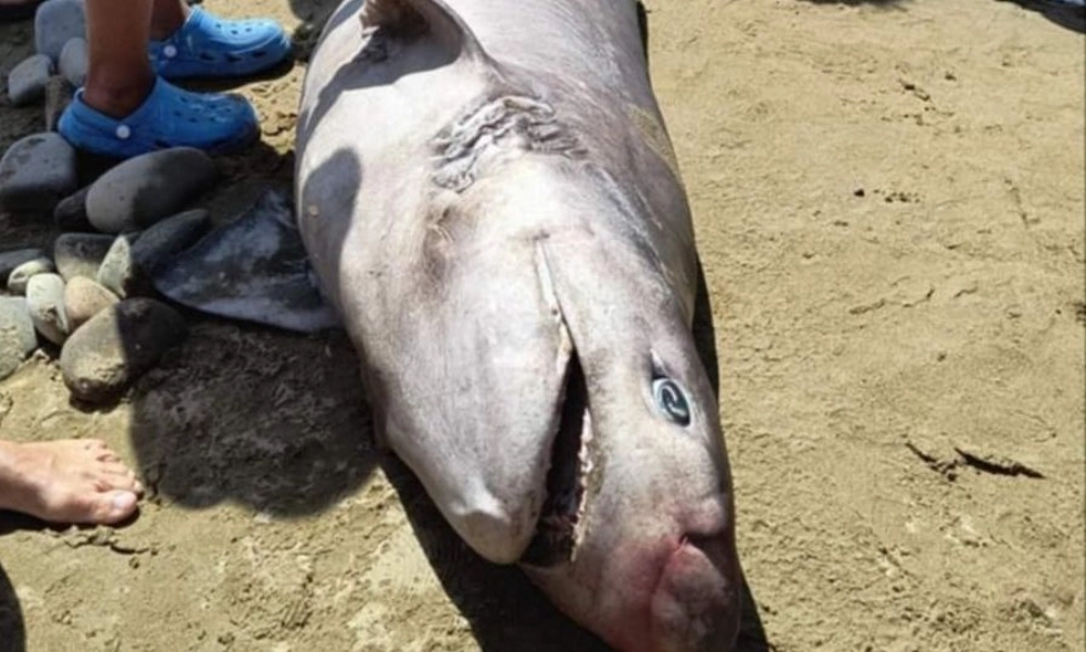 Ράδιο Λήμνος