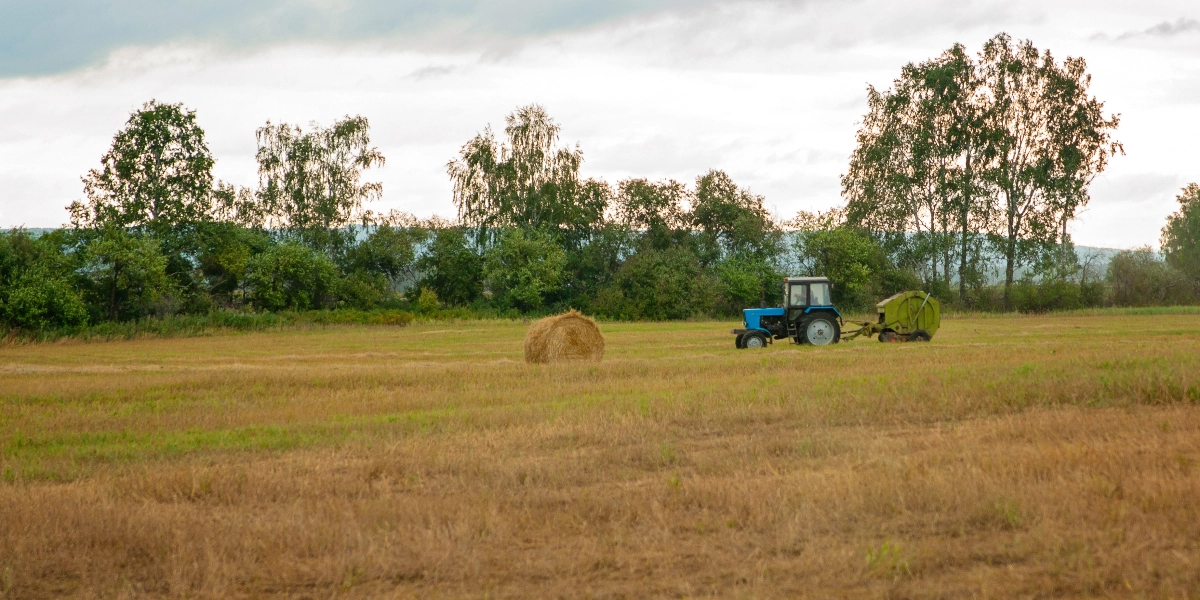 ΟΠΕΚΕΠΕ: Οι παράνομες επιδοτήσεις ανά περιφέρεια – Πρωτιά για την Κρήτη