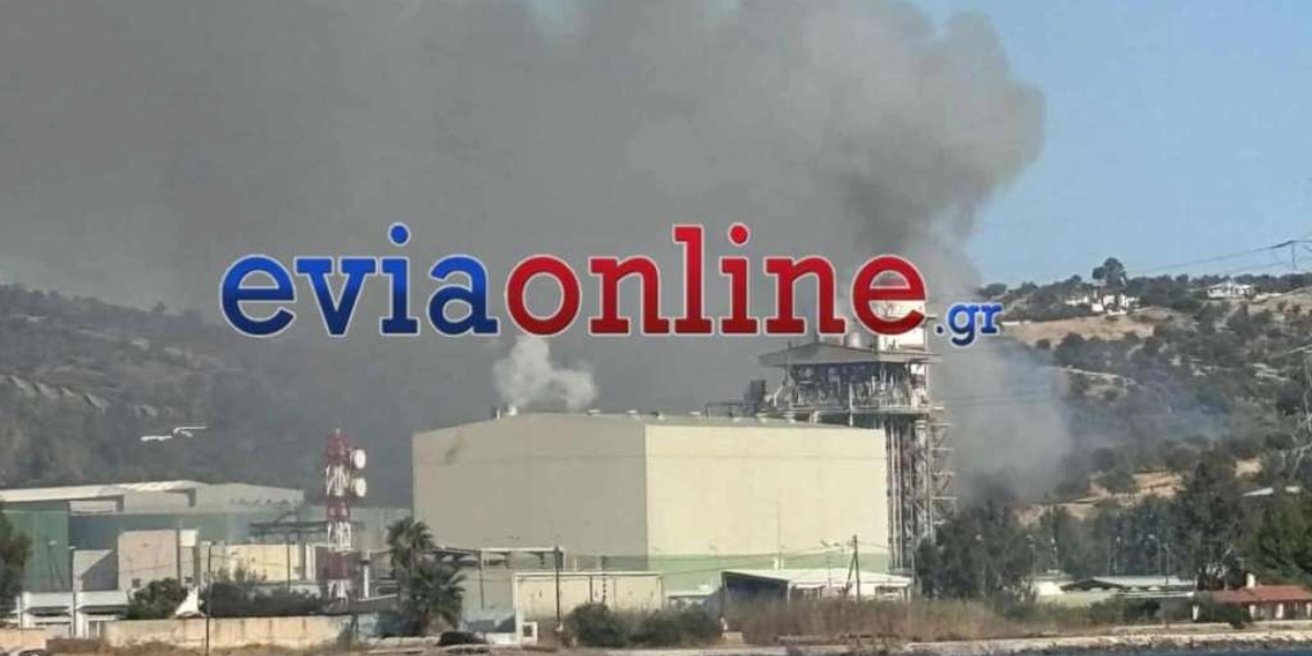 Εύβοια: Φωτιά κοντά στο εργοστάσιο της ΔΕΗ στο Αλιβέρι