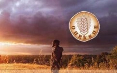 οπεκεπε https://www.opekepe.gr/