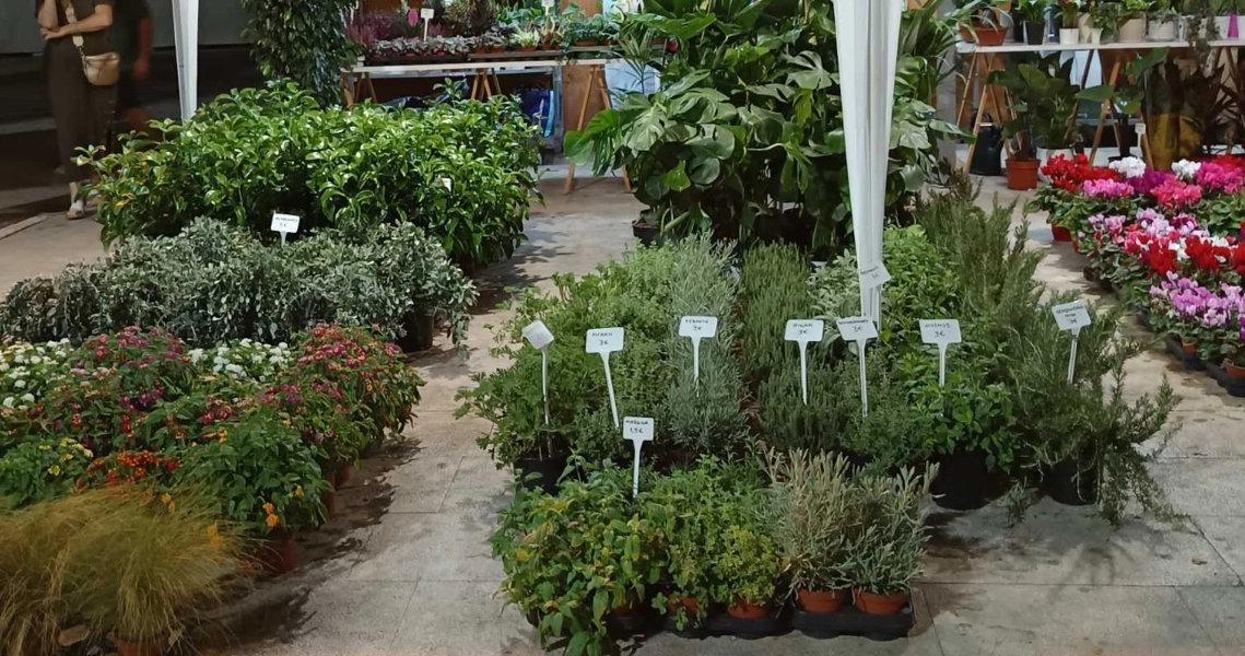 Εγκαινιάστηκε  η 2η  ανθοκομική έκθεση Νίκαιας -Ρέντη