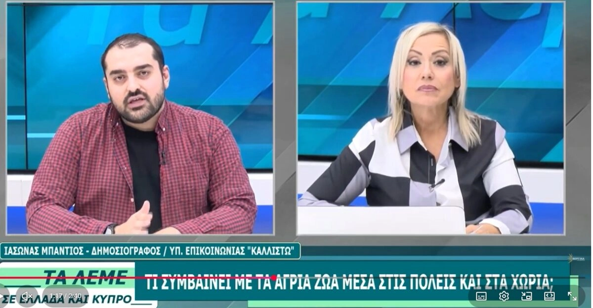 ΒΕΡΓΙΝΑ TV: Ιάσωνας Μπάντιος από την «Καλλιστώ» για την επίθεση λύκου σε 5χρονο στη Χαλκιδική και την εμφάνιση άγριων ζώων σε κατοικημένες περιοχές