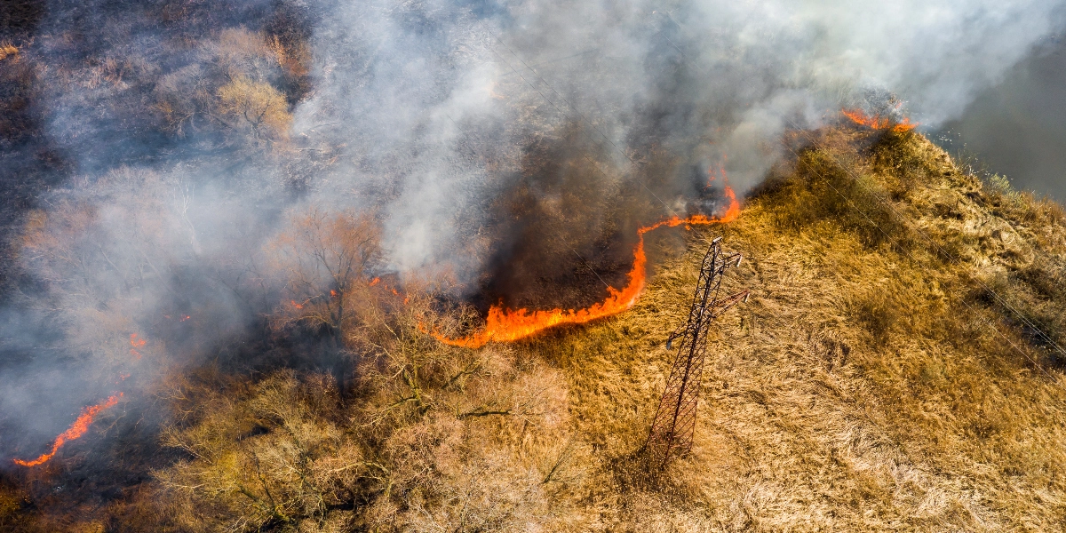 Γρεβενά: Μεγάλη δασική πυρκαγιά μεταξύ Πενταλόφου και Δοτσικού