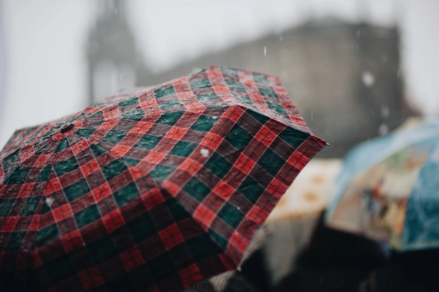 rain enavto