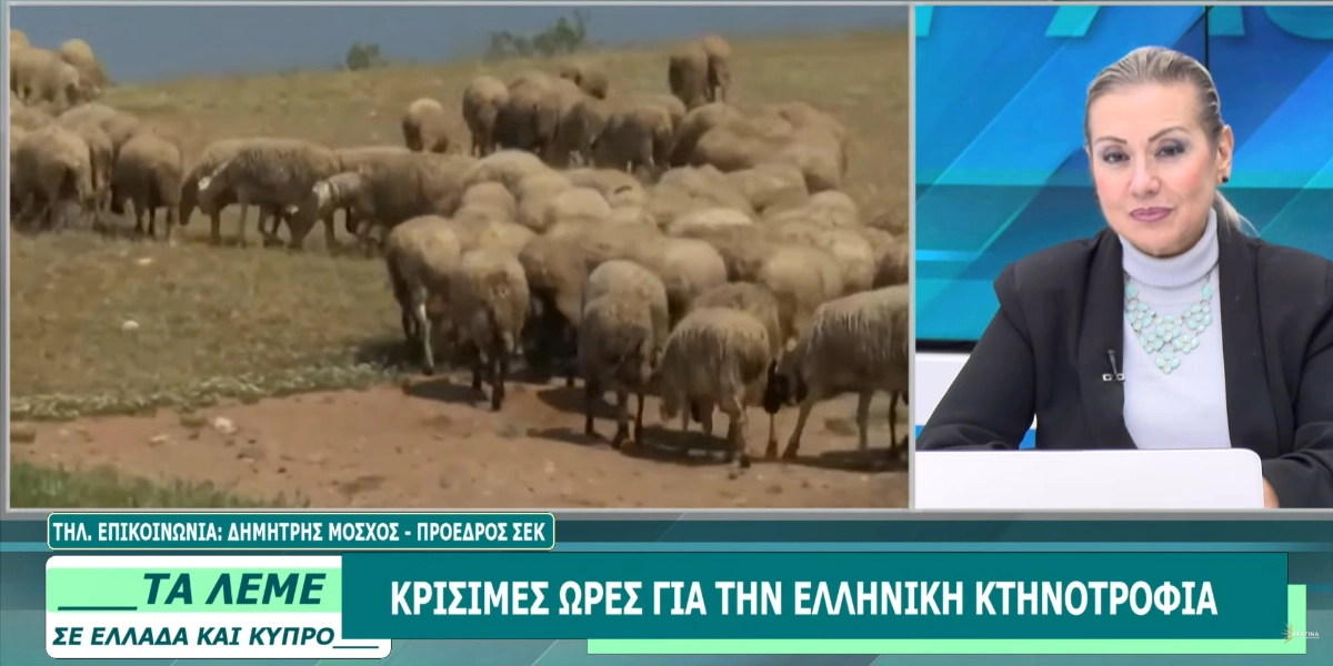 Βεργίνα τηλεόραση: «Μεγαλύτερο το πάρτι στην κτηνοτροφία από τον ΟΠΕΚΕΠΕ» λέει ο πρόεδρος του ΣΕΚ, Δημήτρης Μόσχος
