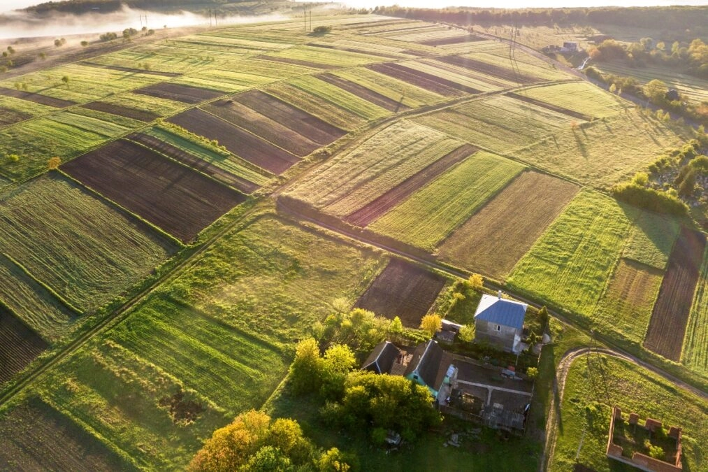 ΟΠΕΚΕΠΕ: Ακόμη μία προφυλάκιση για παράνομες επιδοτήσεις – Στους 40 οι κατηγορούμενοι