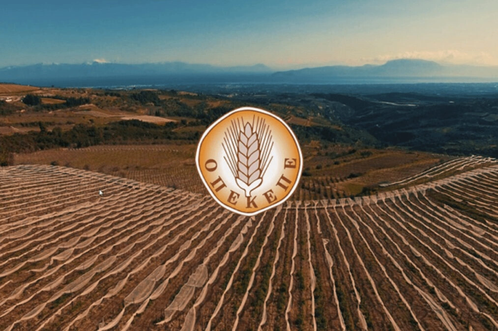 ΟΠΕΚΕΠΕ: Συνάντηση με το διοικητικό συμβούλιο πραγματοποιούν οι Χατζηδάκης και Τσιάρας για την αποπληρωμή των ενισχύσεων