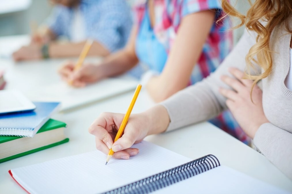 ENVATO/ΣΧΟΛΕΙΑ ΕΡΓΑΣΙΑ/THE LEADER