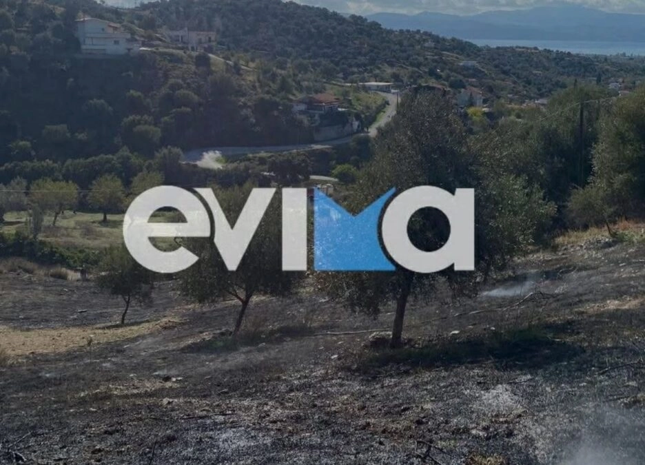 Εύβοια: Ένας νεκρός από φωτιά σε χωράφι