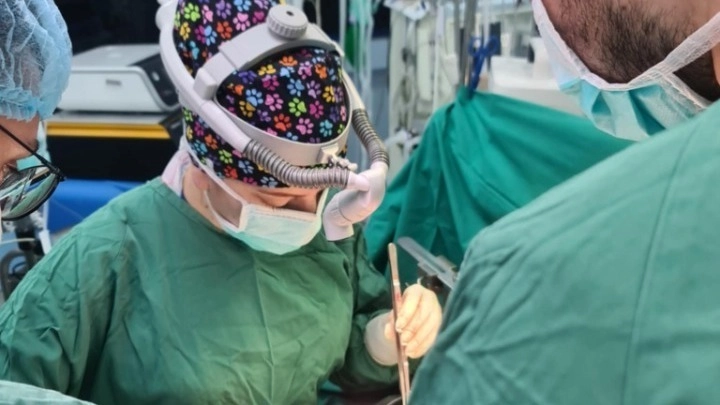 Ιταλία: Πρωτοποριακή μεταμόσχευση με Ελληνίδα δότρια