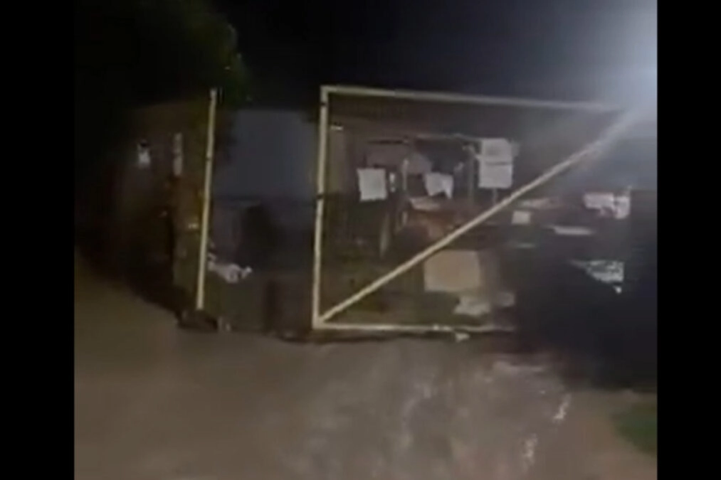 Νίκαια: Καταστράφηκε καταφύγιο ζώων λόγω της κακοκαιρίας – Έκκληση για βοήθεια