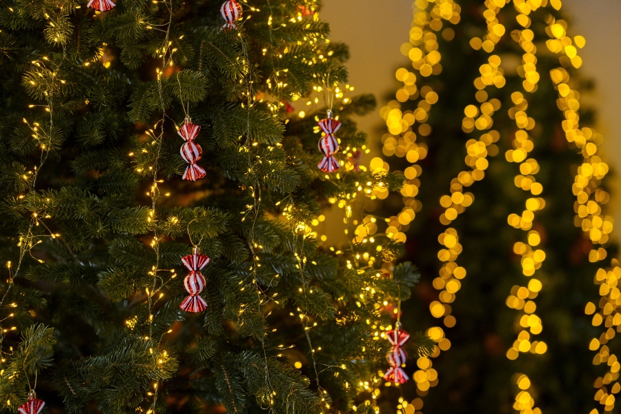 Λαμπάκια Χριστουγέννων: Πόσο επιβαρύνουν τον λογαριασμό και πώς να τα χρησιμοποιείτε οικονομικά