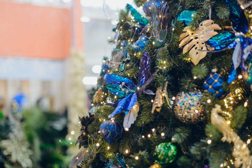 Δήμος Κιλκίς: Ο «Κήπος των Χριστουγέννων» ξανανθίζει στην πλατεία Ειρήνης