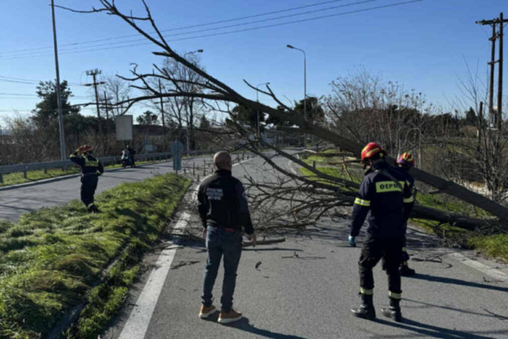Θέρμη Θεσσαλονίκης: Πτώσεις δέντρων και ζημιές στα ηλεκτροφόρα καλώδια προκάλεσαν οι θυελλώδεις άνεμοι