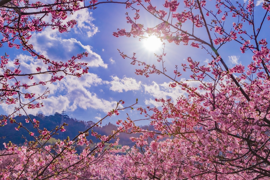 Εαρινή ισημερία: Γιατί η άνοιξη ξεκινά σήμερα και όχι στις 21 Μαρτίου