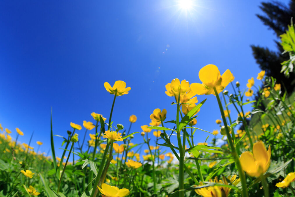 Καιρός: Ηλιοφάνεια με τοπικές βροχές σε δυτική Πελοπόννησο και Κρήτη