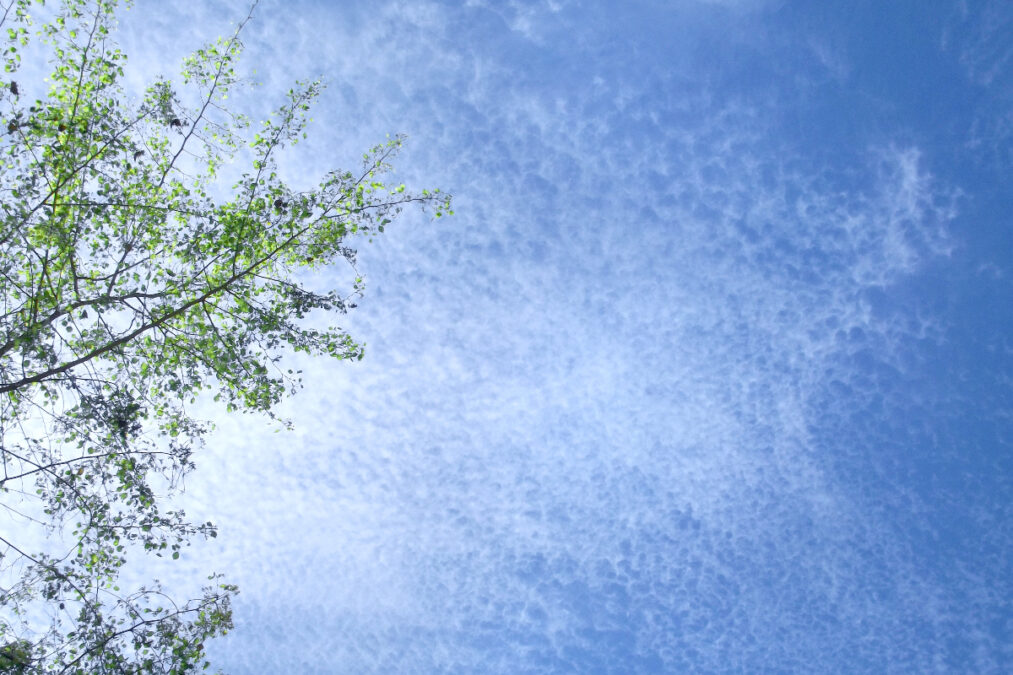 Καιρός: Με καλές θερμοκρασίες ξεκινά ο Μάρτιος – Τοπικές βροχές σε Κυκλάδες και Κρήτη