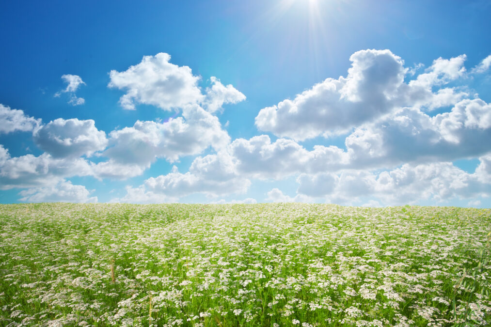 Καιρός: Με ανοιξιάτικες θερμοκρασίες και τοπικές βροχές σε Ιόνιο και δυτική Πελοπόννησο