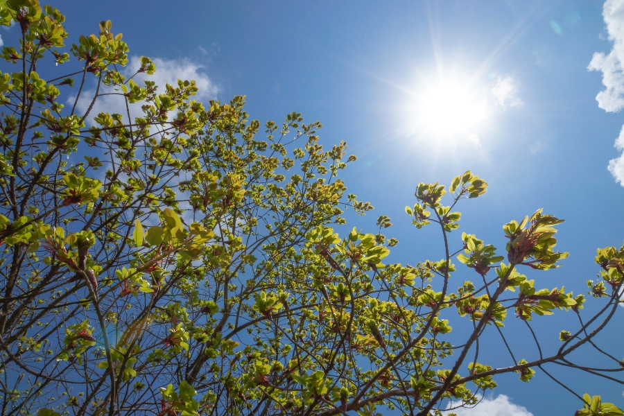 Ο Καιρός σήμερα: Ήλιος με Αραιές Νεφώσεις και Τοπικές Βροχές στα Βόρεια
