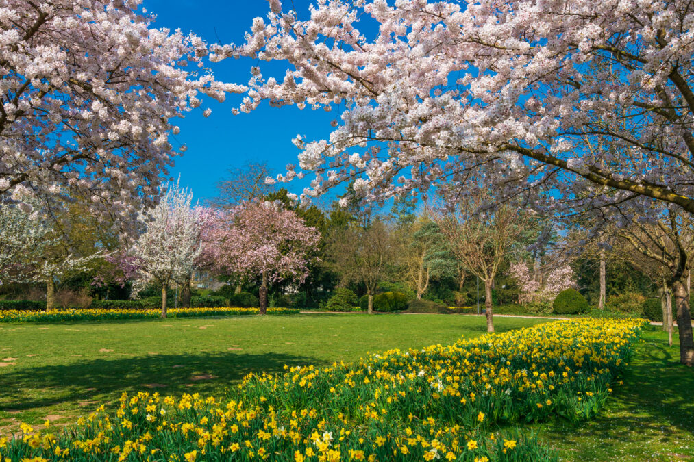 Καιρός: Βροχές σε Κυκλάδες, Κρήτη και Δωδεκάνησα – Έως 23 βαθμούς η θερμοκρασία