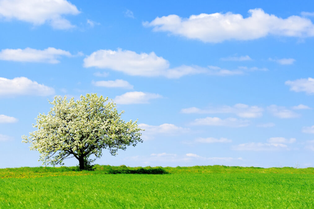 Καιρός: Ηλιοφάνεια σε όλη τη χώρα και θερμοκρασία έως 23 βαθμούς