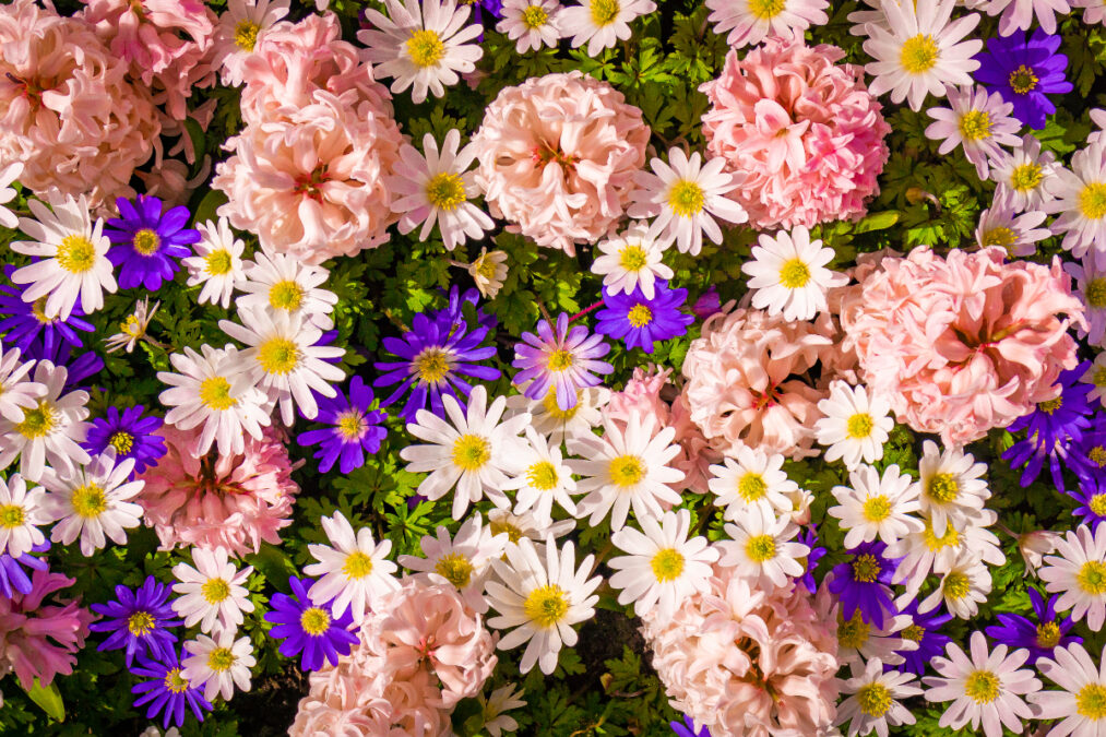 Εορτολόγιο: Ποιοι γιορτάζουν σήμερα 18 Απριλίου σύμφωνα με την Ορθόδοξη Εκκλησία