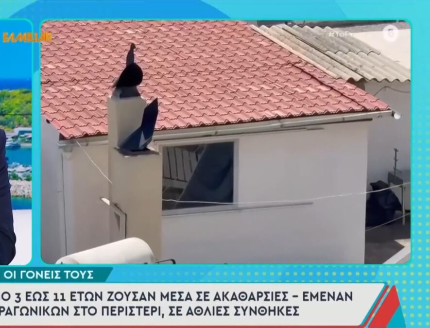 Δεν πήγαιναν ούτε σχολείο τα παιδιά που ζούσαν μέσα σε ακαθαρσίες σε σπίτι στο Περιστέρι, τι λέει η γιαγιά τους
