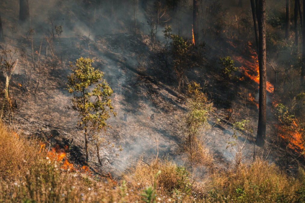 Σε ετοιμότητα η Πυροσβεστική λόγω πορτοκαλί συναγερμού εκδήλωσης φωτιάς σε πέντε περιφέρειες