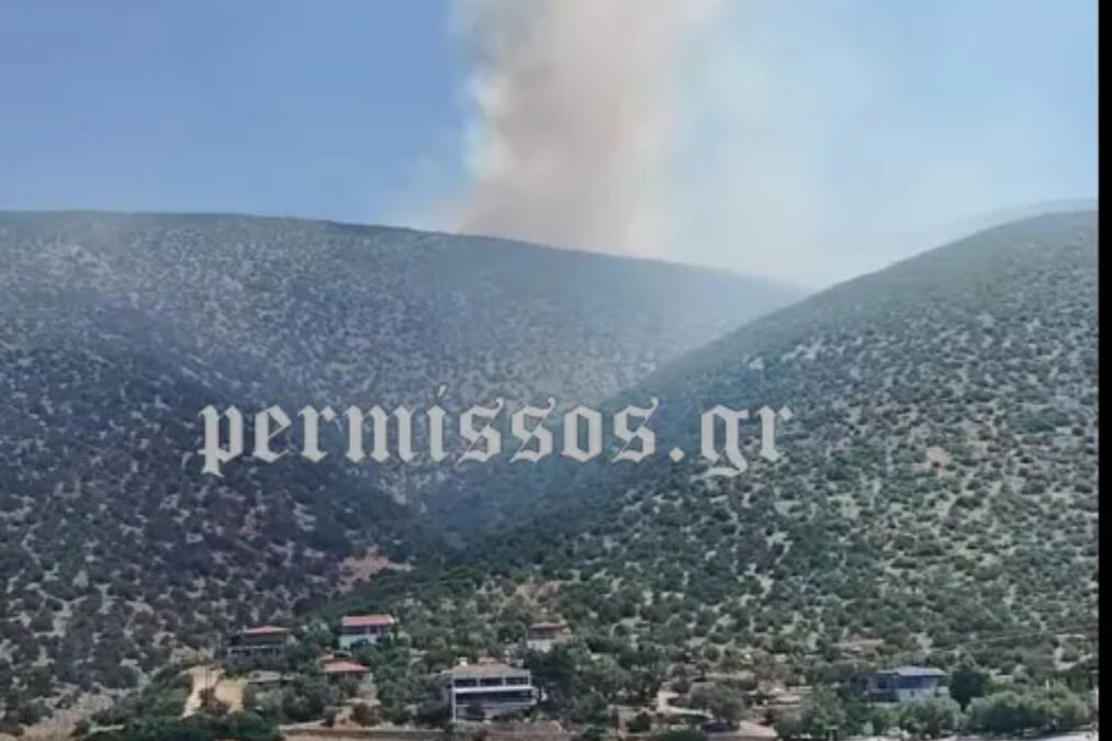 Βοιωτία: Μεγάλη κινητοποίηση της Πυροσβεστικής για φωτιά στον Άγιο Βασίλειο