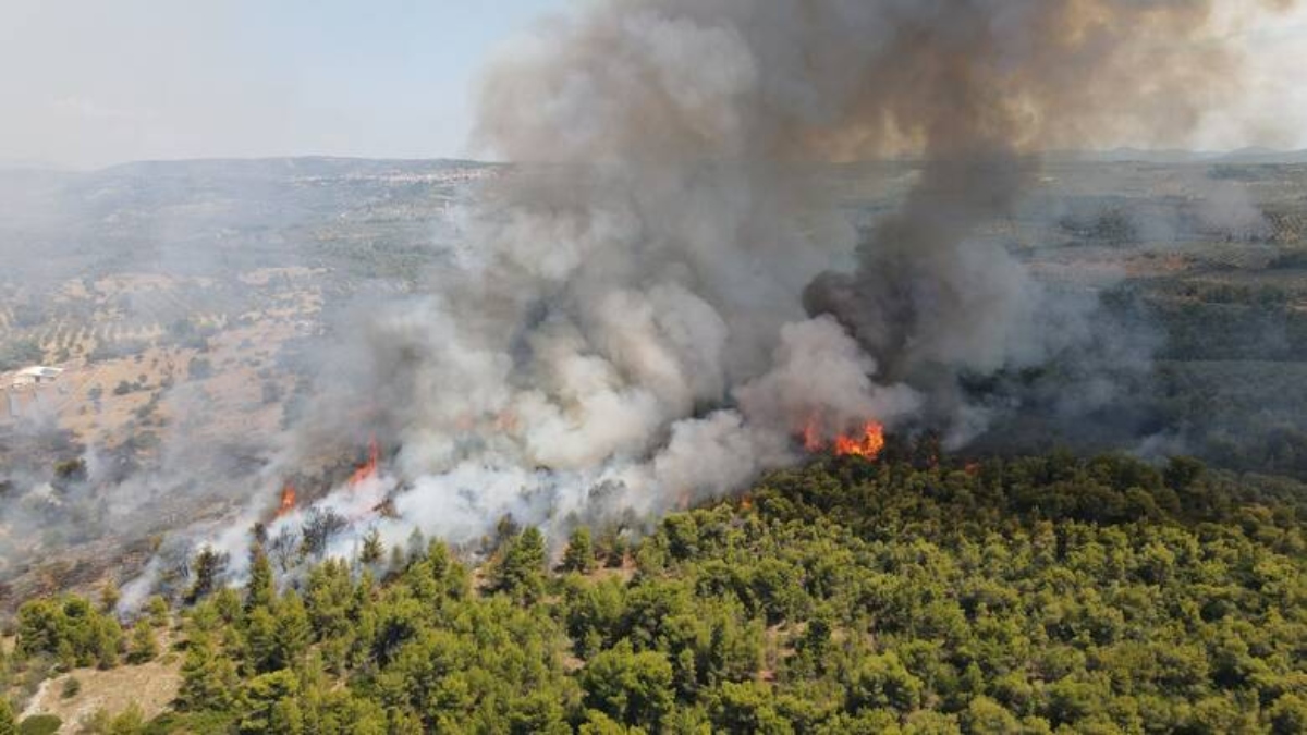 Πολύ υψηλός κίνδυνος πυρκαγιάς σήμερα σε Αττική και Κρήτη -Σε «πορτοκαλί» συναγερμό έξι περιφέρειες