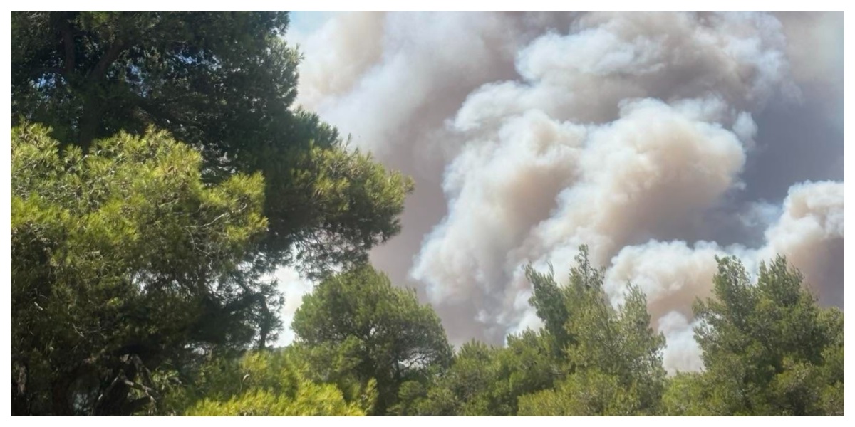 Συνεχίζεται η μάχη με τις φλόγες σε Βοιωτία και Αττική